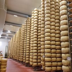 Consorzio del Formaggio Parmigiano Reggiano