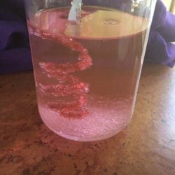 Exploring Learning & Fun - Magical science experiment
