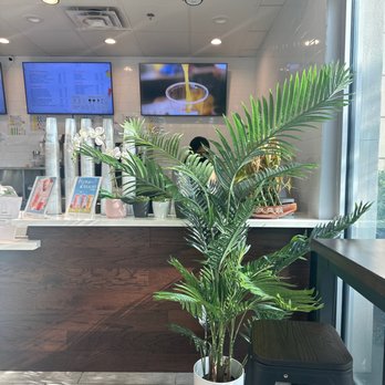 Sharetea - Bar - Bubble Tea Near Me - Shenandoah, Texas