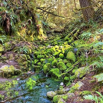 Silver Falls State Park - Hiking Near Me - Sublimity, Oregon Silver Falls State Park - Hiking Near Me - Sublimity, Oregon