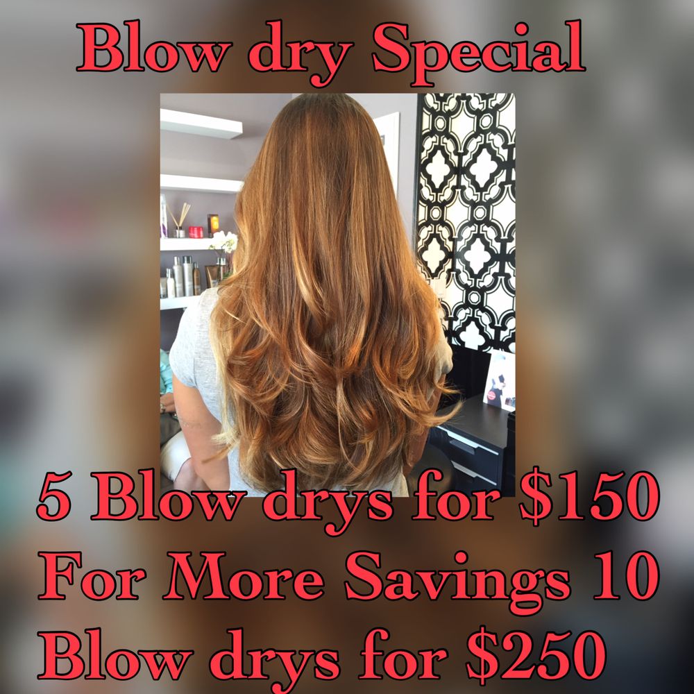 Stacy Heim Hair Design Logo