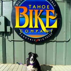 Tahoe Bike Company is dog friendly!