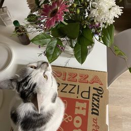 All we loved that pizza All we loved that pizza