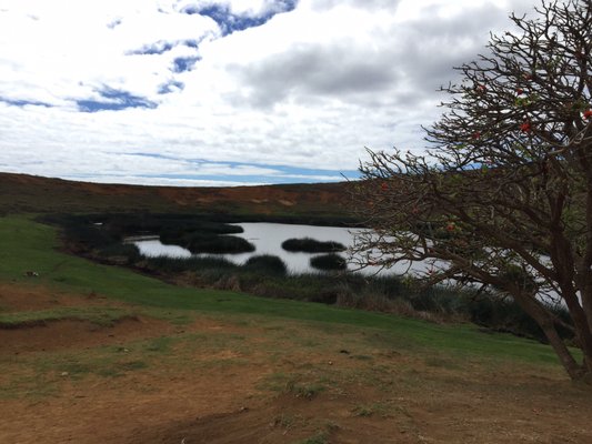 Rano Raraku by null