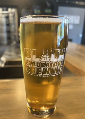 Black Laboratory Brewing by null