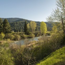 River Ranch Rv Park - View from park lawns