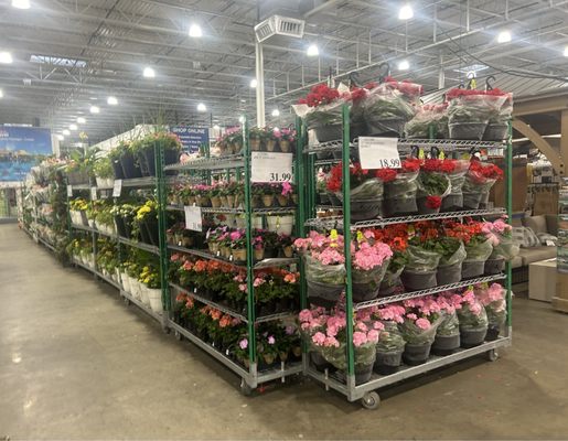 Costco Wholesale by null