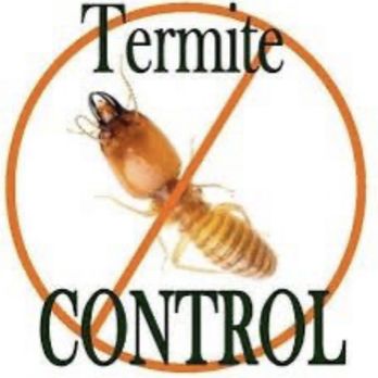 More For Less Exterminating - Pest Control Near Me