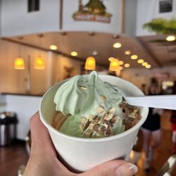 Yogurt Shack - Creamy Irish Mint