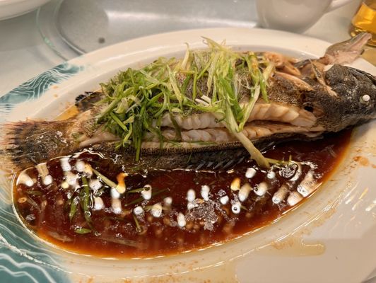 Jade Garden Tsim Sha Tsui Branch by null