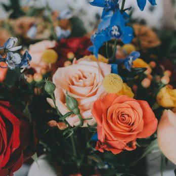 Kiku Floral - Florists Near Me - Reedley, California Kiku Floral - Florists Near Me - Reedley, California