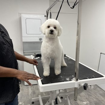 Paws R Us - Pet Groomers Near Me - Fresno, California Paws R Us - Pet Groomers Near Me - Fresno, California