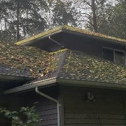 The Moss Busters - House Roof Before Sherry - Home Cleaning Near Me - Everett, Washington