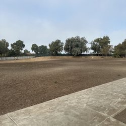 Wrigley Heights Dog Park - Large space to run