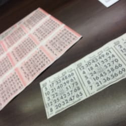 Betcha Bingo 1 - Bingo cards