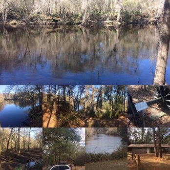 Suwannee River State Park - Parks Near Me - Lee, Florida Suwannee River State Park - Parks Near Me - Lee, Florida