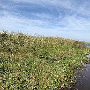 Marsh Beast Airboat Tours - Boat Tours Near Me - Vero Beach, Florida Marsh Beast Airboat Tours - Boat Tours Near Me - Vero Beach, Florida