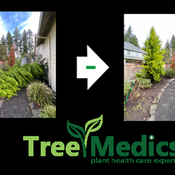 Tree Medics - Tree Services Near Me - Tualatin, Oregon Tree Medics - Tree Services Near Me - Tualatin, Oregon
