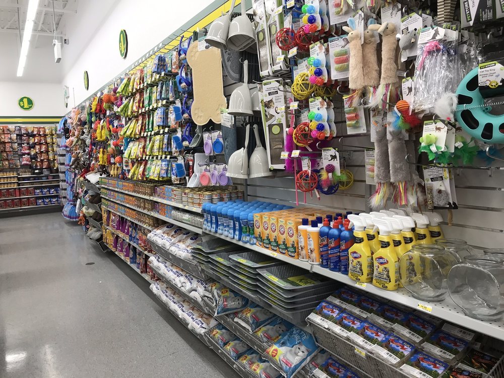 Are Dollarama Dog Toys Safe