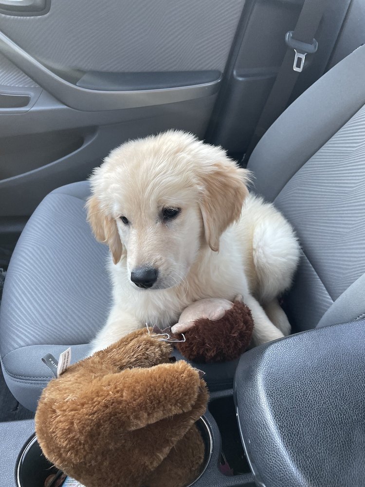 COLLEGE VIEW VETERINARY CLINIC Updated September 2024 19 Reviews