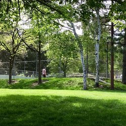 Awesome, shaded tennis court..
