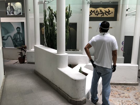 Diego Rivera's House Museum by null