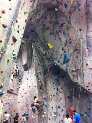 MetroRock Climbing Center by null