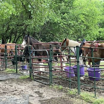 Honey Lee Ranch - Horseback Riding Near Me - Oklahoma City, Oklahoma Honey Lee Ranch - Horseback Riding Near Me - Oklahoma City, Oklahoma
