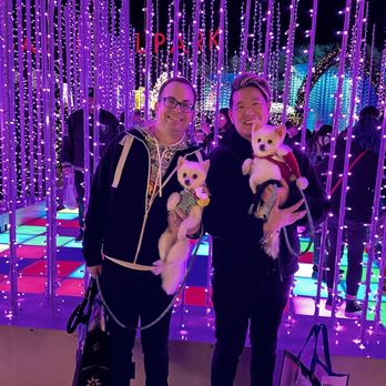 Enchant Las Vegas - Everyone enjoying doggie night at Enchant - Festivals Near Me - Las Vegas, Nevada Enchant Las Vegas - Everyone enjoying doggie night at Enchant - Festivals Near Me - Las Vegas, Nevada