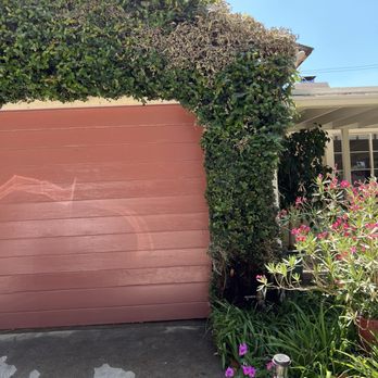 Local Service Pro Plumbing - Garage bush slowly dying - Plumbing Near Me - Tarzana, California Local Service Pro Plumbing - Garage bush slowly dying - Plumbing Near Me - Tarzana, California