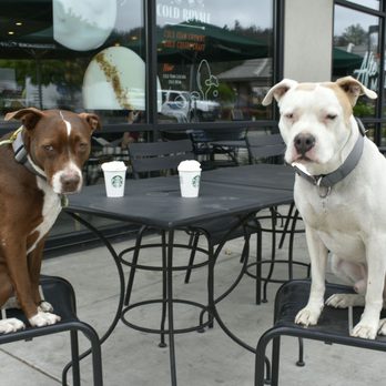 Starbucks - A round of Puppucinos for Loki and Baby Pitlove Two paws up Support Monterey ASPCA - Coffee & Tea Near Me - Prunedale, California Starbucks - A round of Puppucinos for Loki and Baby Pitlove Two paws up Support Monterey ASPCA - Coffee & Tea Near Me - Prunedale, California