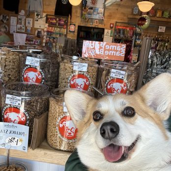 Polkadog Bakery - Rari at her favorite store! - Pet Stores Near Me - Lynnfield, Massachusetts Polkadog Bakery - Rari at her favorite store! - Pet Stores Near Me - Lynnfield, Massachusetts