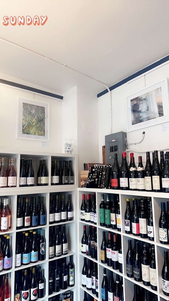 Molly's Bottle Shop Logo