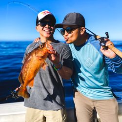 Wagner Charters
