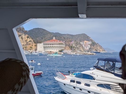 Catalina Express by null
