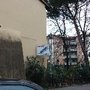 Photo of Alfani Giovanni