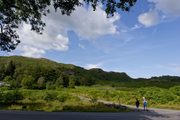 YHA Langdale by null