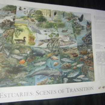 Beavertail Aquarium - Aquariums Near Me - Jamestown, Rhode Island