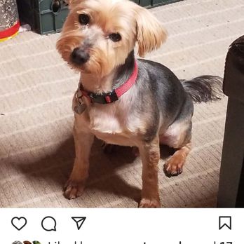 Happy Tails - Pet Groomers Near Me