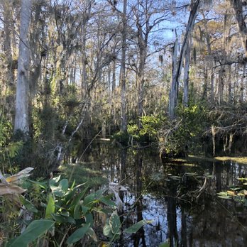 Big Cypress Gallery - Art Galleries Near Me - Ochopee, Florida