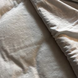 Days Inn & Suites by Wyndham Pine Bluff - Bugs on bed.