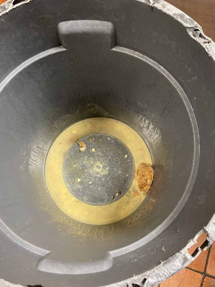 CARL’S JR Updated August 2024 14 Photos & 41 Reviews 1868 Fort