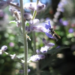 Nest & Nursery