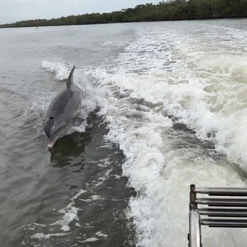 Sand Dollar Boat Tours - Boat Tours Near Me - Naples, Florida Sand Dollar Boat Tours - Boat Tours Near Me - Naples, Florida