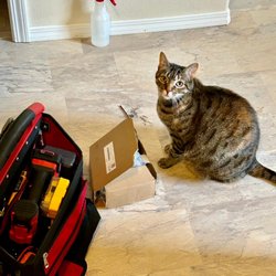 Smart Appliance Repair Service - Pet-friendly