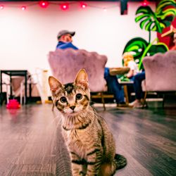 Leon County Humane Society