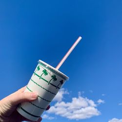 In-N-Out Burger - Neapolitan Shake