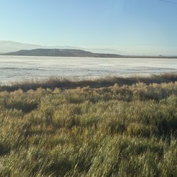 ACE Train Station - Alviso area in San Jose
