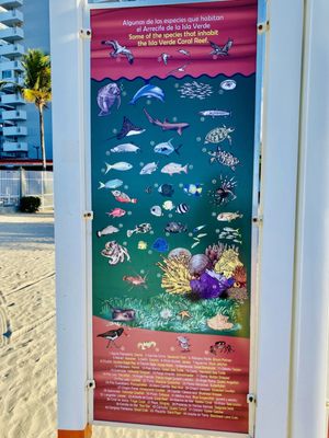 Isla Verde Beach West by null