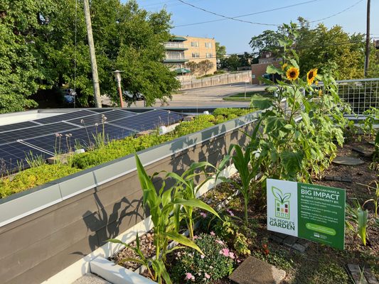 Civic Garden Center of Greater Cincinnati by null